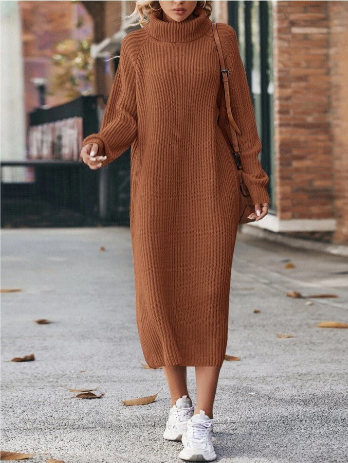 Rume Turtleneck Long Knitted Sweater Dress - Pinkpie